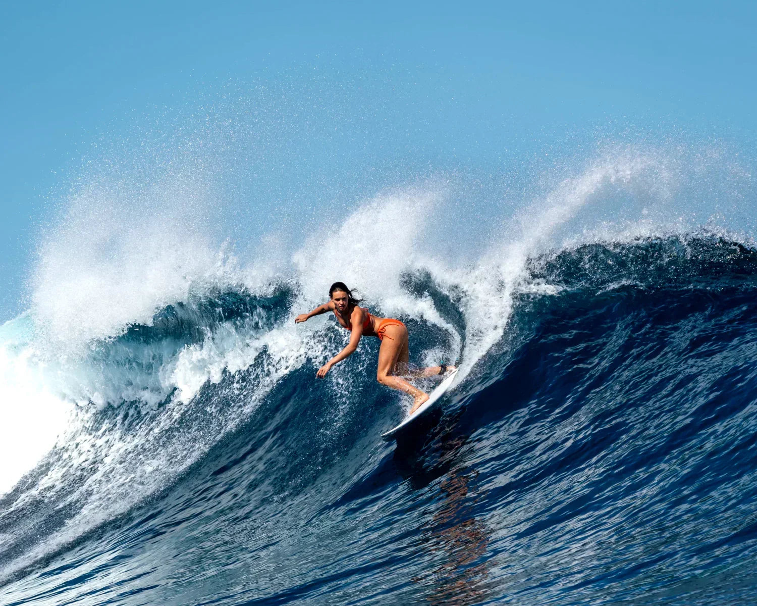 Community Spotlight: Tatchi Ringsby